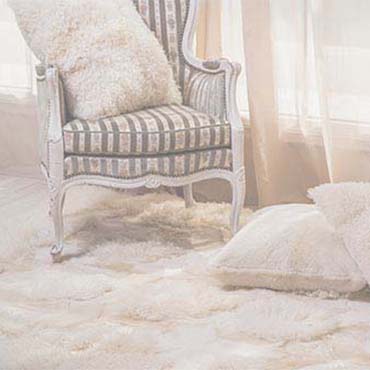 Massud's & Sons Floor Covering Image